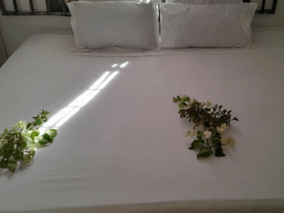 Golentle Home Stay - from BWP 615