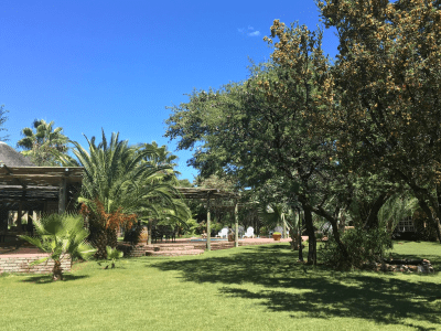 Palm Afrique Lodge - from BWP 1400