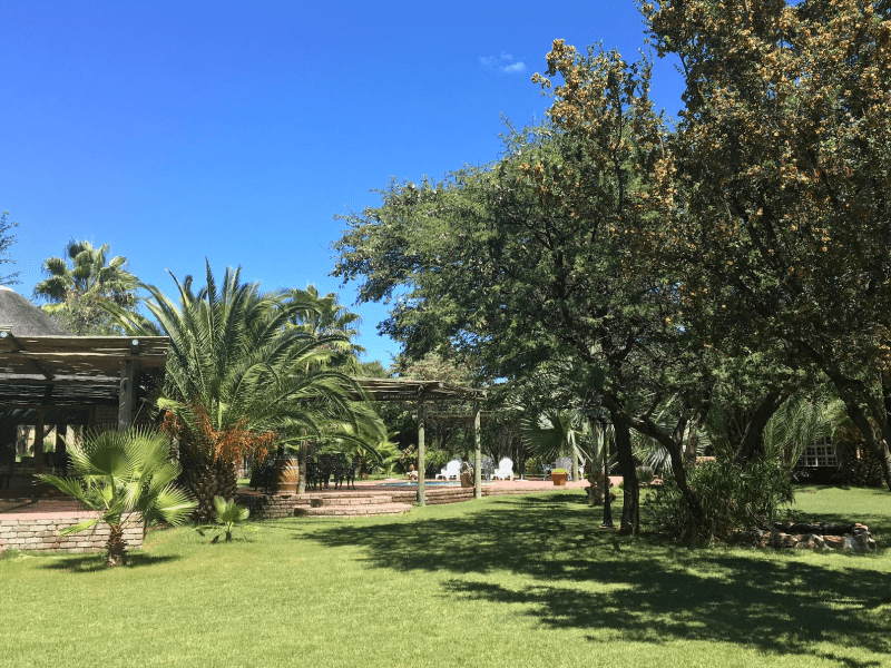 Palm Afrique Lodge - from BWP 1400