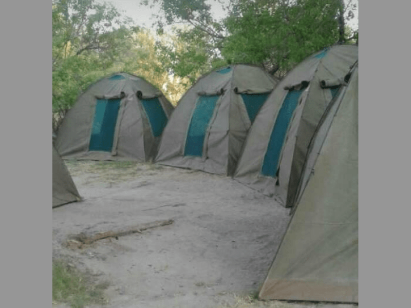 Senthaga Guest House & Safaris - from BWP 500