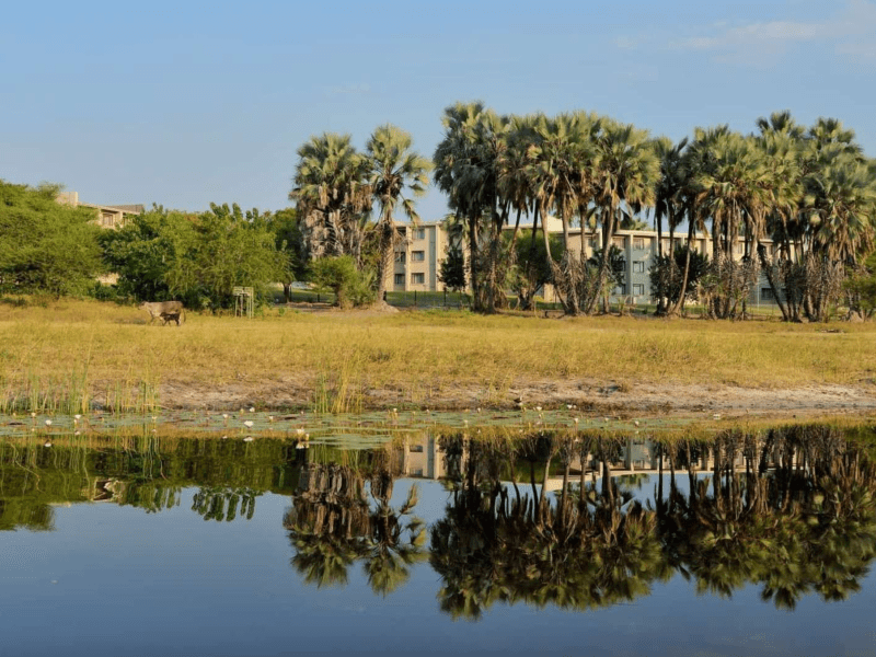 Cresta Maun - from BWP 1200