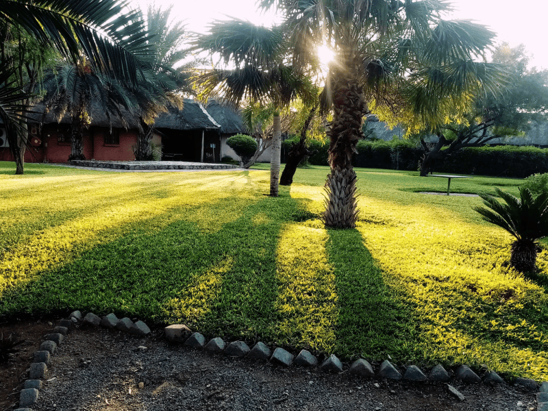 Tati River Lodge - from BWP 520