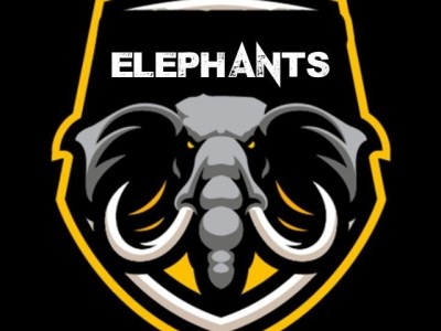 Zoopers Darts Club