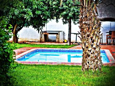 Cosy Palms Guest House - from BWP 530