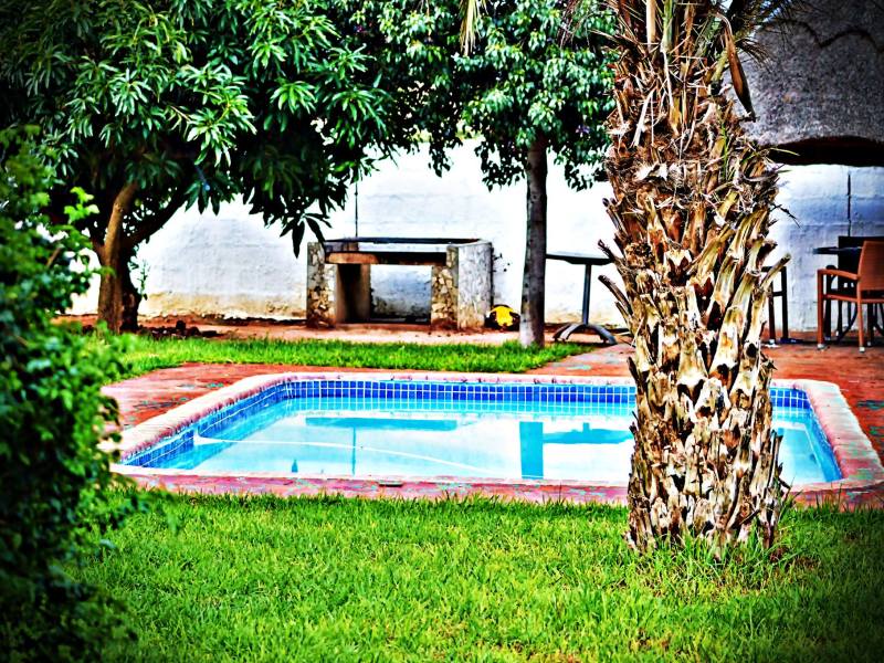 Cosy Palms Guest House - from BWP 530