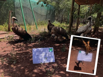 Centre for African Resources: Animals, Communities and Land Use (CARACAL)
