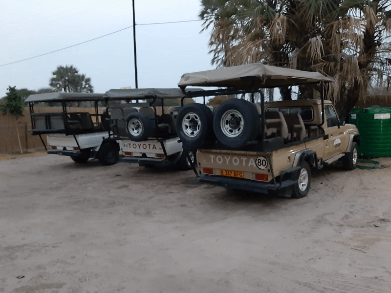 Temogo Safari