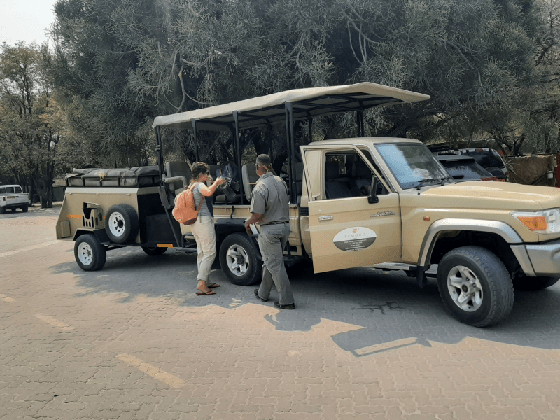 Temogo Safari
