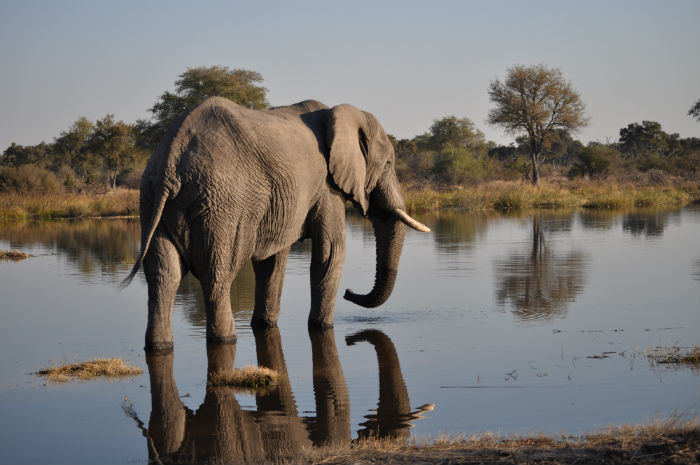 Sky Theme Safaris