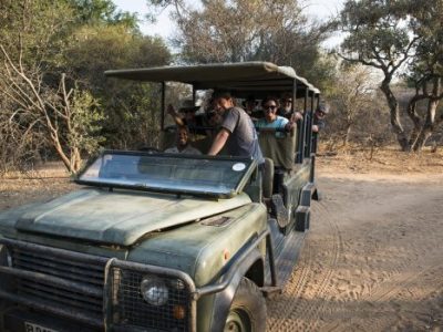 Stevensford Game Reserve