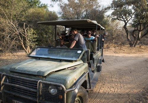 Stevensford Game Reserve
