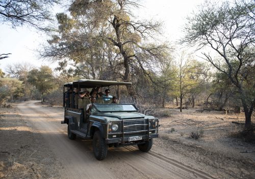 Stevensford Game Reserve