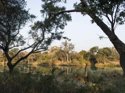 Stevensford Game Reserve