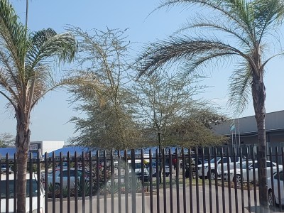 Lotsane Junction Mall (Square Mart)