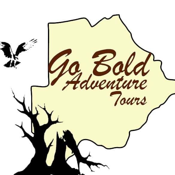 Go Bold Adventure Tours