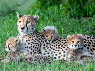Kalahari Marsh Safari Holidays