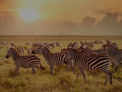 Norlan Travel And Tours