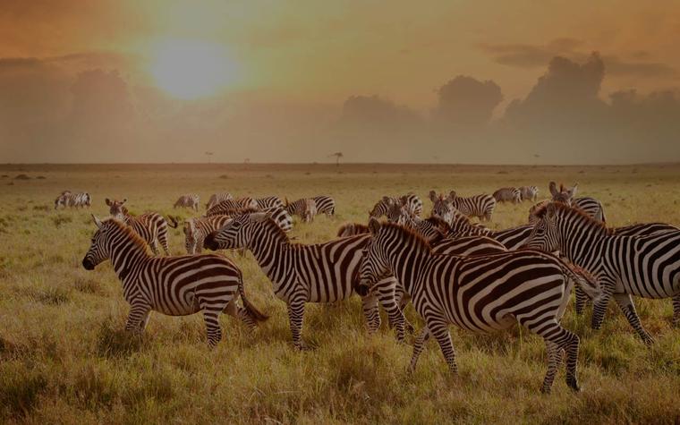 Norlan Travel And Tours