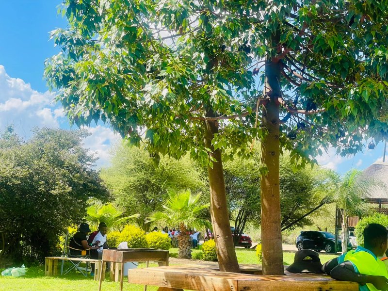 Serene View Garden