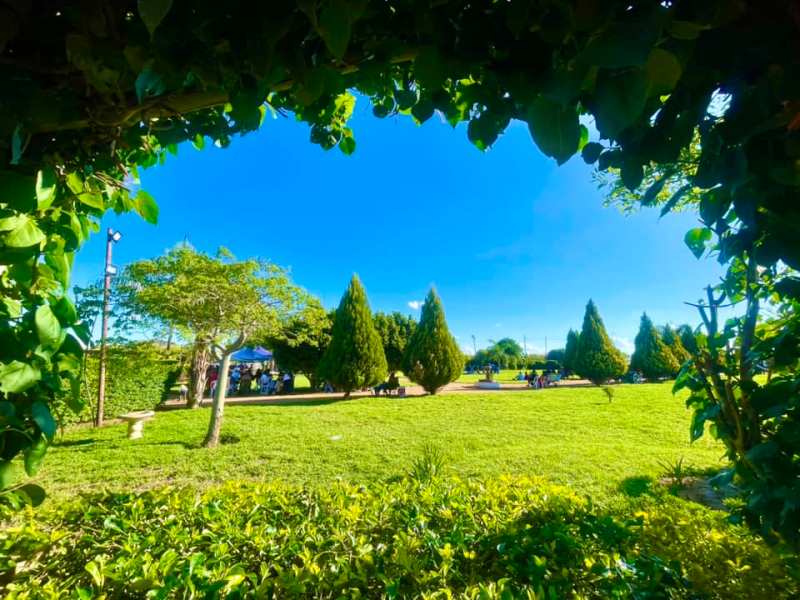 Serene View Gardens