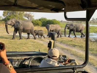 OKA Swamps Travel and Tours