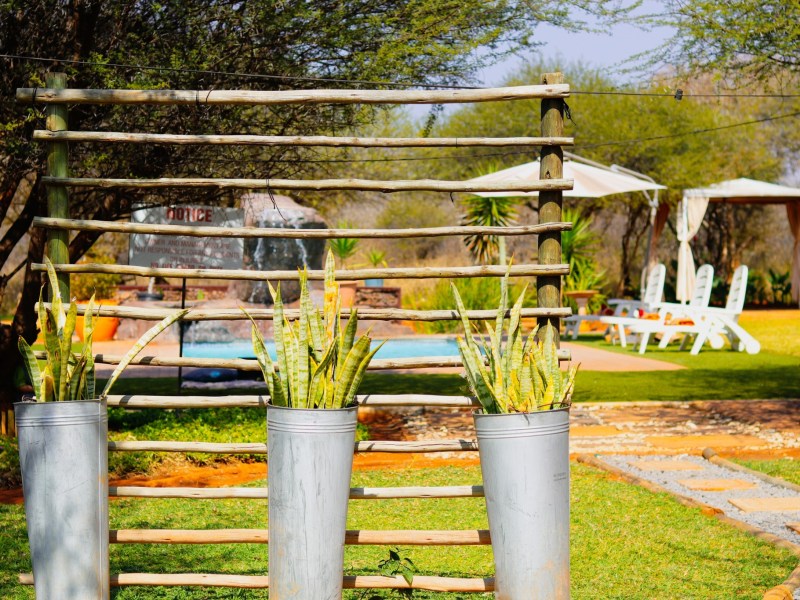 Sabi Sabi Gardens