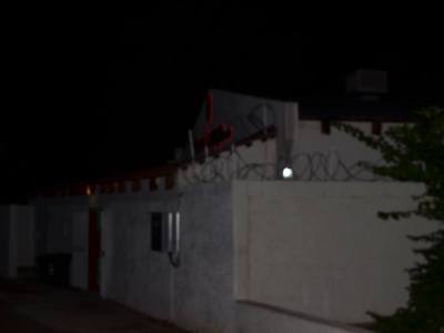 Lizard Lounge and Nightclub