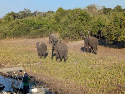 Noble Land Travel Tours & Safaris