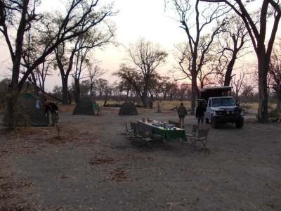 Armando Travel and Tours