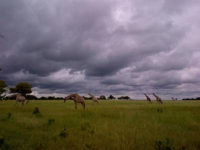 Africa Culture Journeys