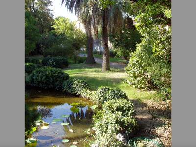 Grand Bay Botanical Gardens & Resort - from BWP 850