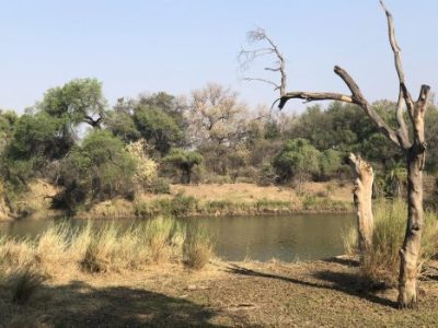 Stevensford Game Reserve
