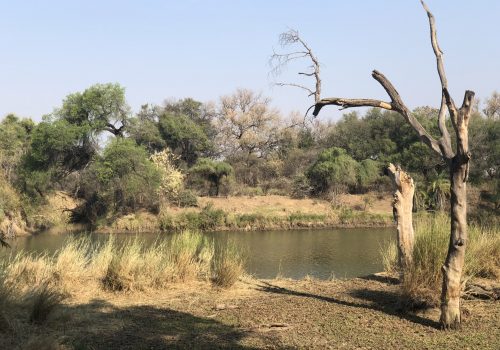 Stevensford Game Reserve