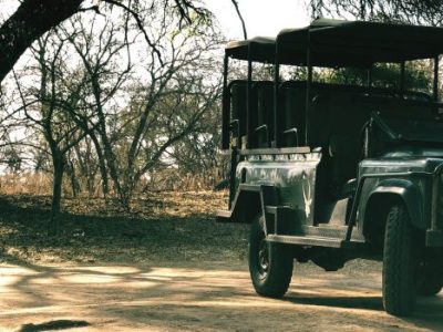 Stevensford Game Reserve