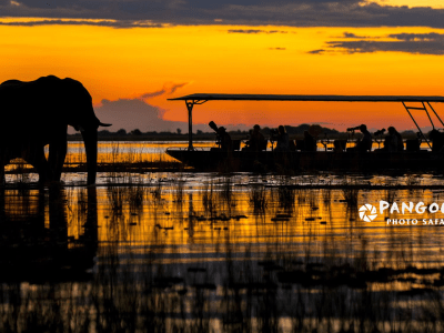 Pangolin Chobe Hotel – from BWP 7900