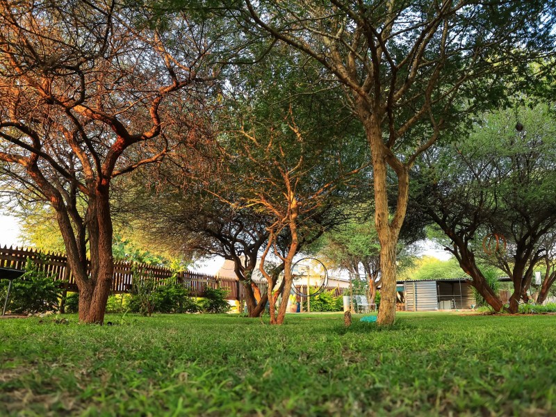 Sabi Sabi Gardens