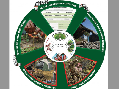 Department of Forestry and Range Resources