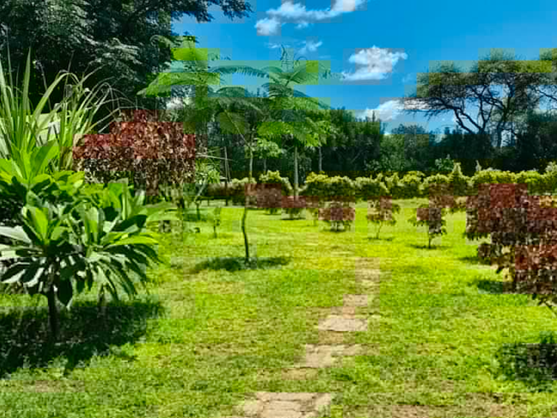 MmaNotha Gardens
