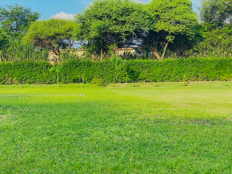 MmaNotha Gardens