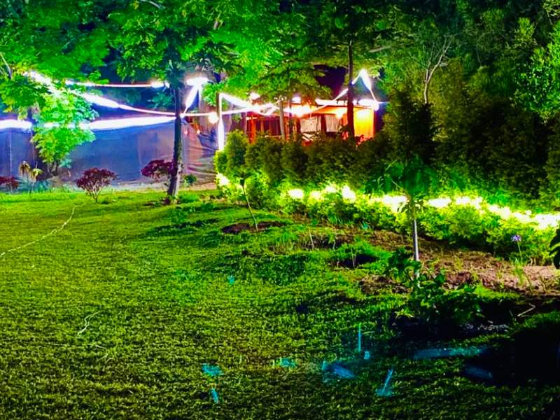 MmaNotha Gardens