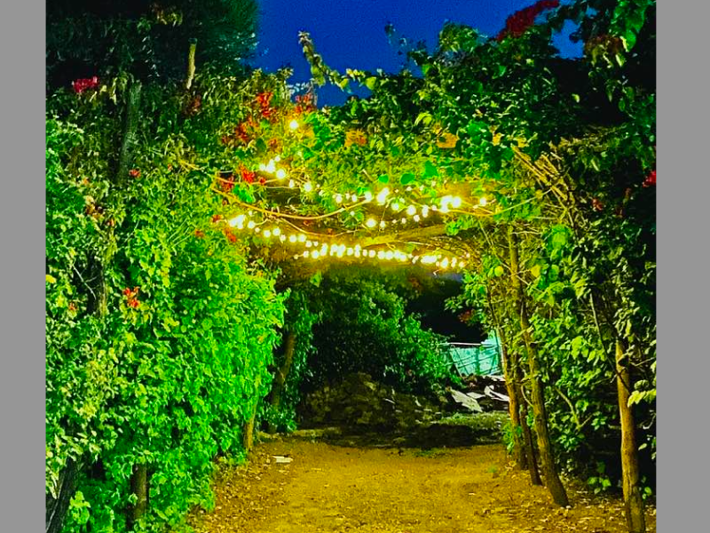 MmaNotha Gardens