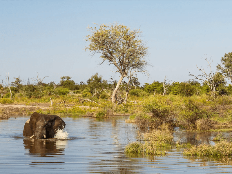 Limpopo-Lipadi Wildlife and Wilderness Reserve