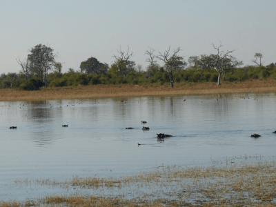 Nogatsaa Pans Chobe
