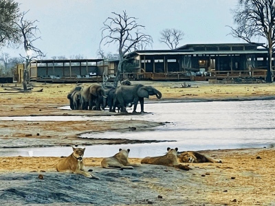 Nogatsaa Pans Chobe