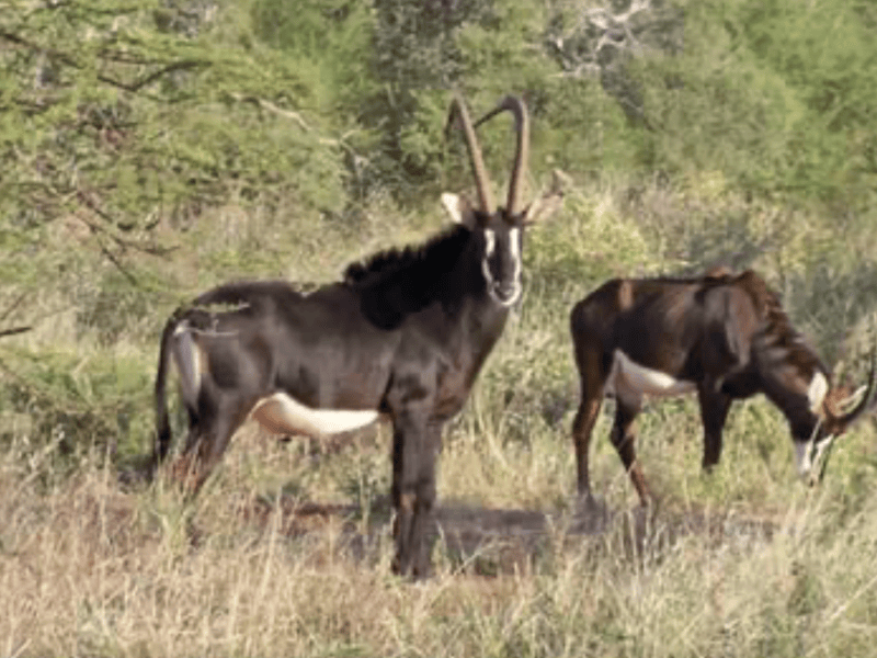Kwalata Ranch