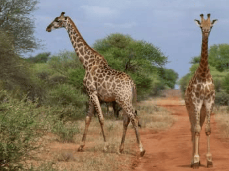 Kwalata Ranch