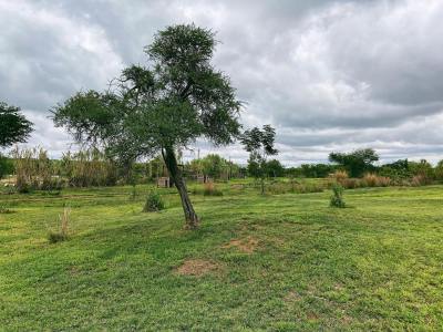 Segaigai Farm & Campsite