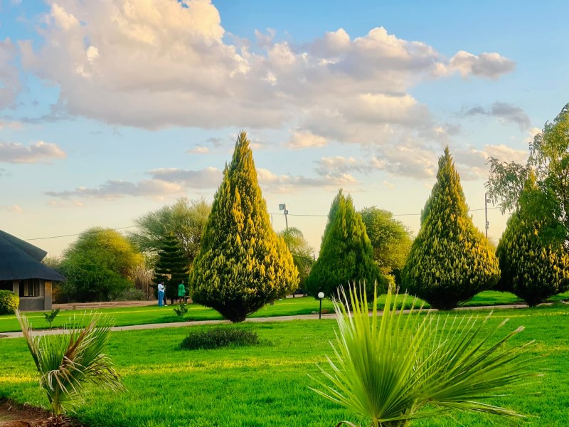 Serene View Garden
