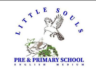 Little Souls Pre and Primary School English Medium