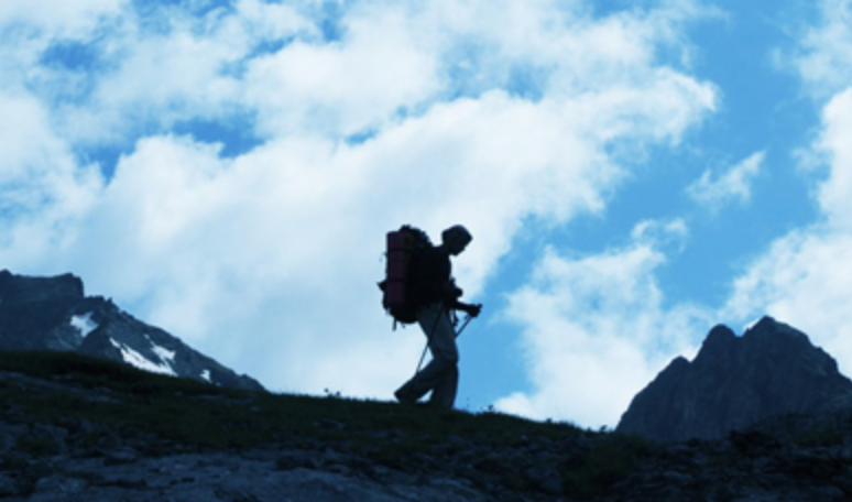 B.B.C. Surveying